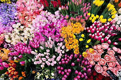 躲开竞争热潮 《宣誓》为何一定要在2024年发售